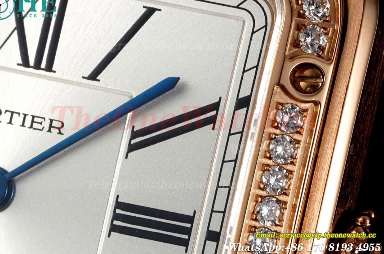 Dumont RG SA AF Quartz Santos Dial Dia Silver Red 0308